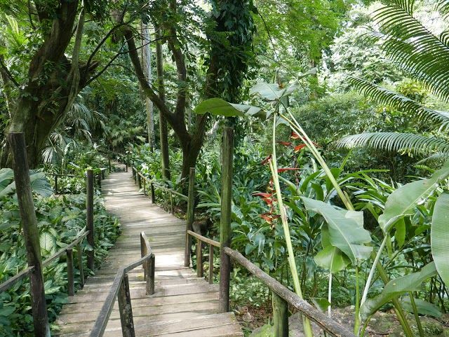 Jardín del gigante durmiente